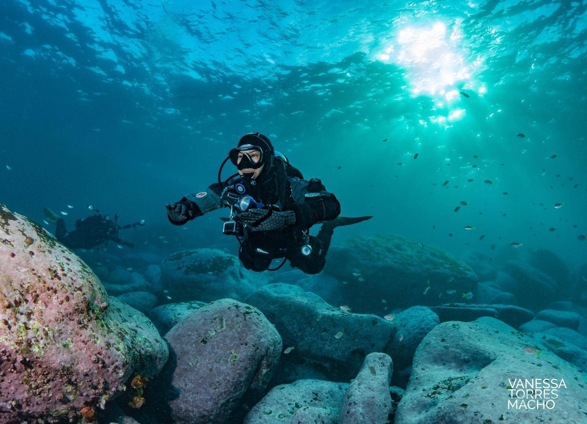 Scuba Diving in Sydney: The Complete Guide to Dive Sites, Marine Life and Courses