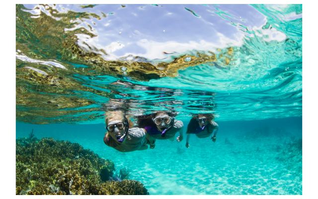 Dive Bondi Gift Card