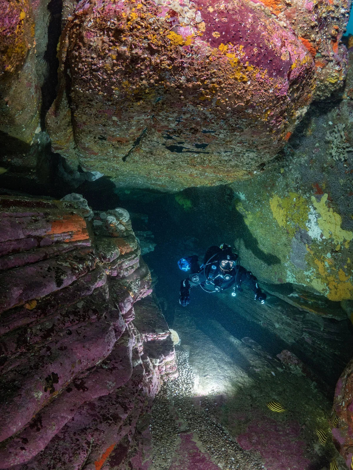 Advanced Shore Dive