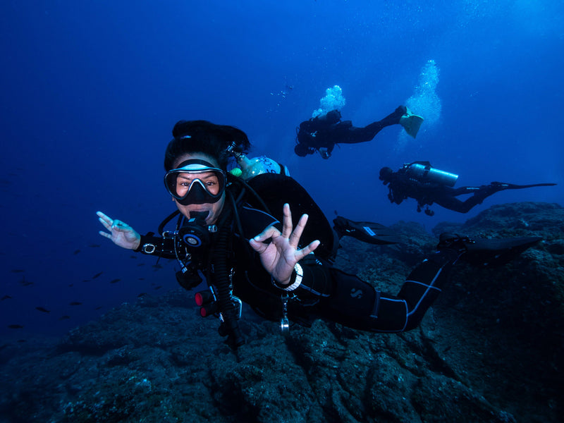 Learn to Dive in Sydney — Your PADI Open Water Course Starts Here