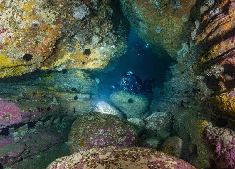 North Bondi - Sydney's Most Spectacular Shore Dive