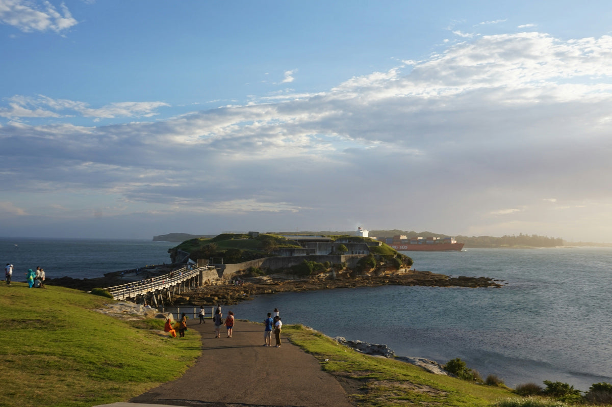 Top 5 Shore Dives in Sydney