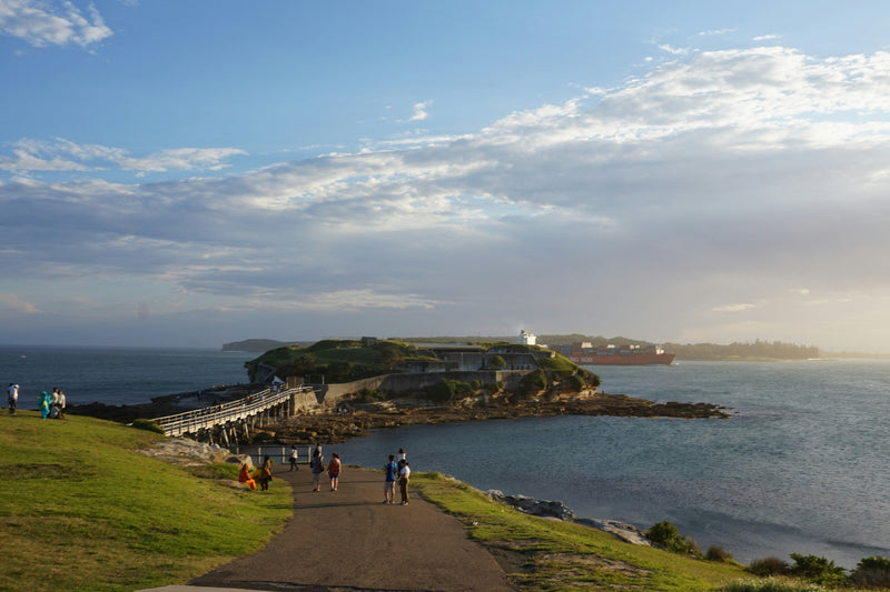 Top 5 Shore Dives in Sydney
