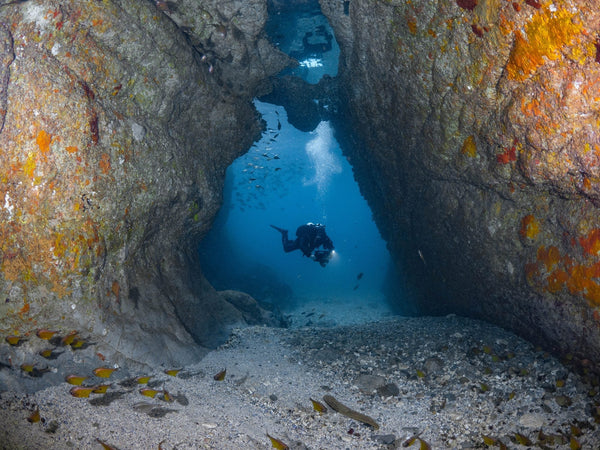 Divemaster