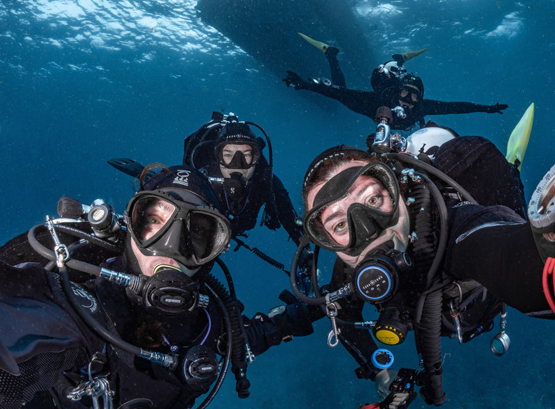 Guided Boat Dive