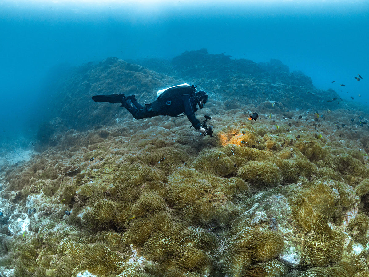 PADI Tec Basics