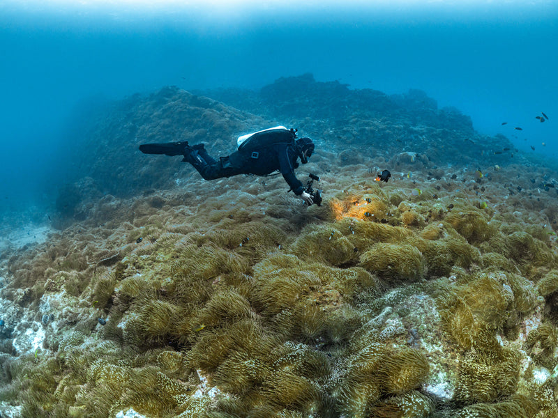 PADI Tec Basics