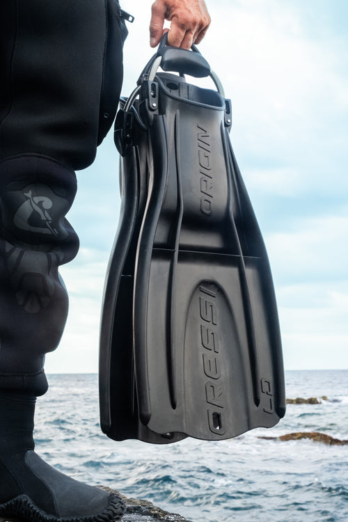 Advanced Shore Dive