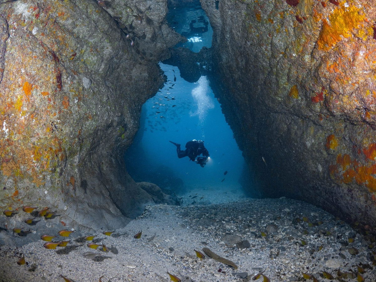 Advanced Shore Dive
