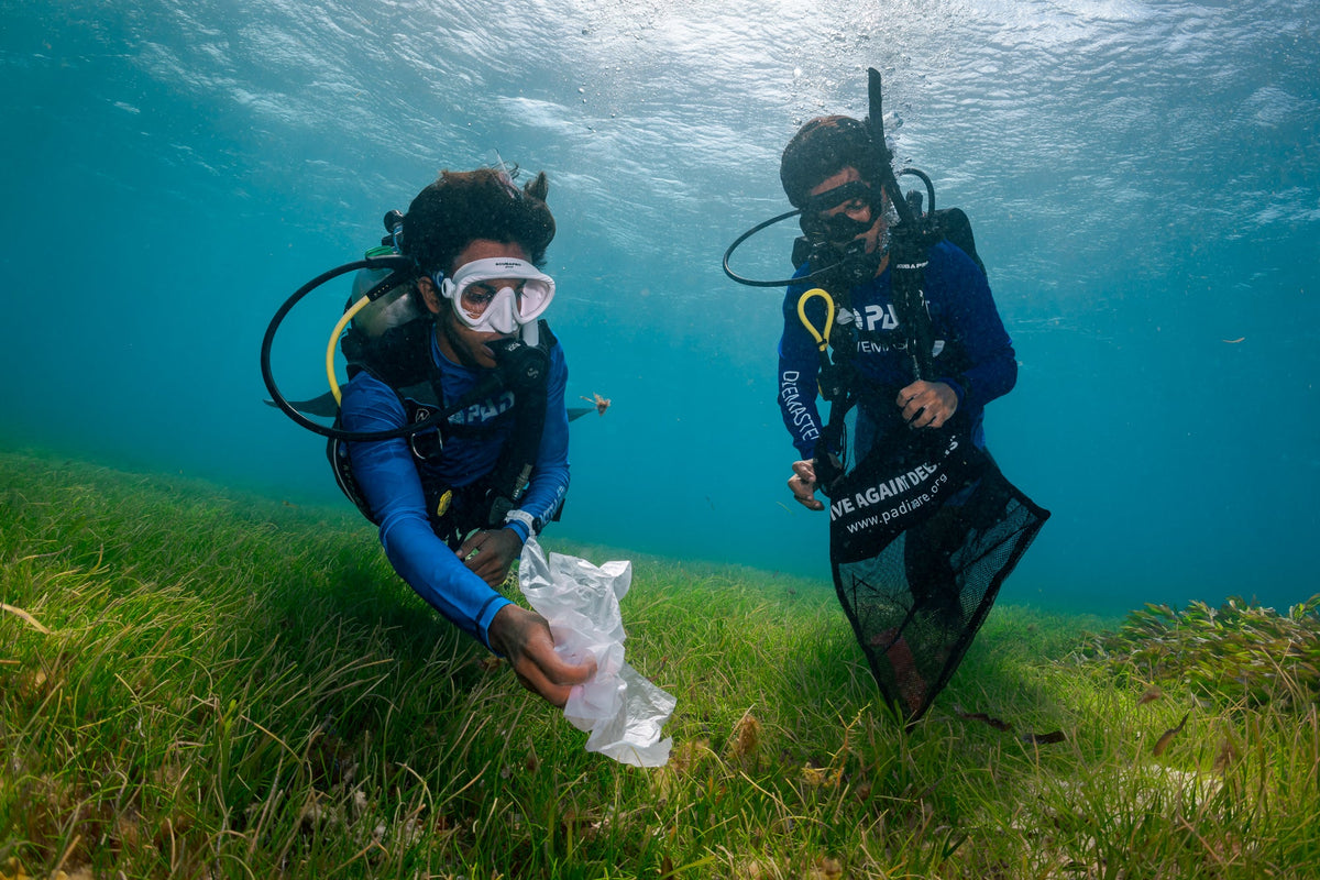 Ocean Clean Ups