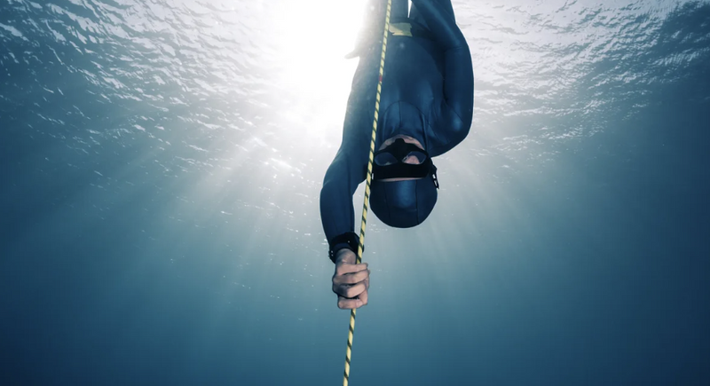 Freediving Courses
