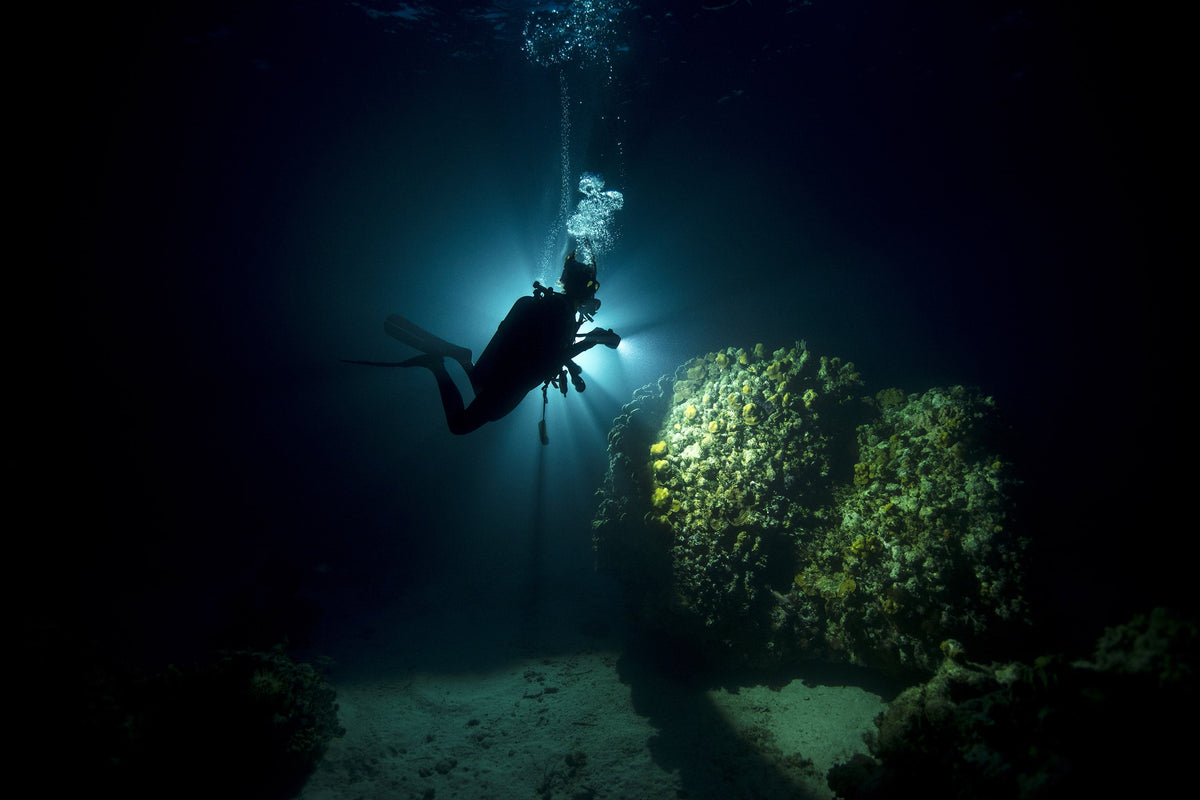 Night Dive